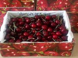 میوه ای مغذی که به کاهش علائم آرتروز کمک می کند