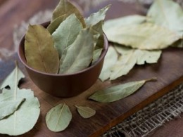 لاغری فوری با این گیاه